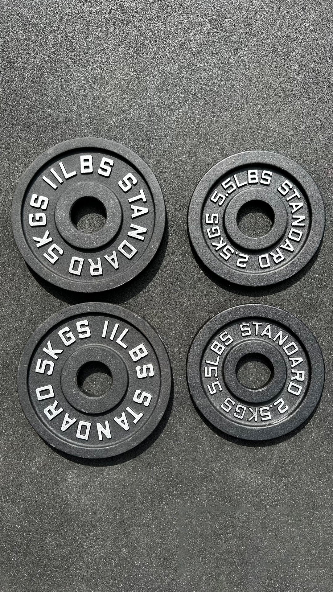Cast Iron Weight Vest Plates - 15kg pack